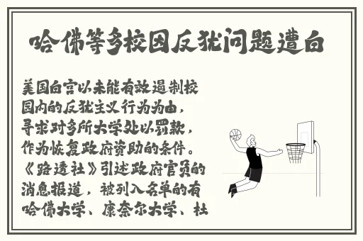 张婉莹暑假作业视频高清
